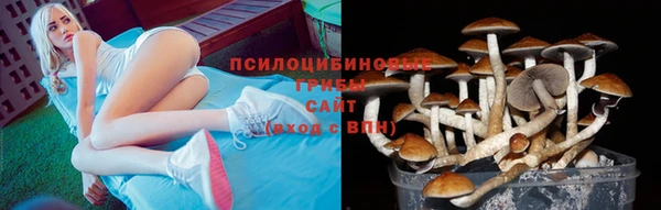 MDMA Premium VHQ Богданович