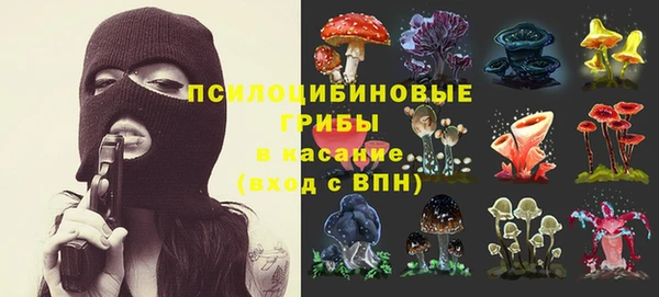 каннабис Богородицк